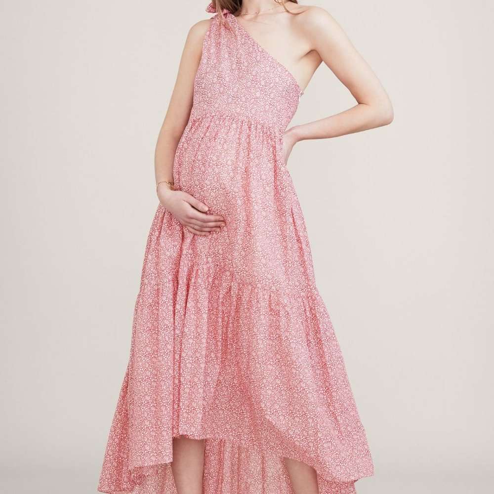 NWT NEW Hatch Iona Dress Size 0 - Ruby Wildflower